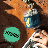 Shop Jack Herer | BEYOND / HELLO - Reading Dispensary Reading, PA