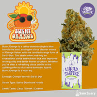 elfbar nachfüll pod läuft aus Flying Horse Stoner Blend Black Edition Disposable 9g main image 0