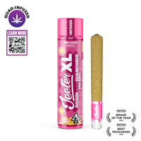 Shop Pink Guava Runtz x Blueberry Certz [2000mg] | Buffalo Dreams