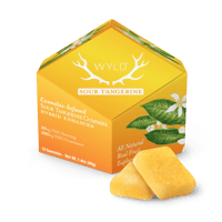 Sour Tangerine Hybrid Enhanced Gummies | 100mg Sour Tangerine Hybrid Enhanced Gummies | 100mg
