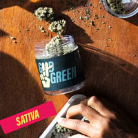 Shop Z x Durban Poison | Hi Tide Dispensary Ocean City, MD