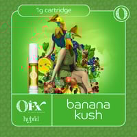 Banana Kush