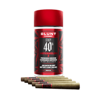 Sky OG [.5g] | STIIIZY | 40's Infused 5 Pack Blunt - San Diego