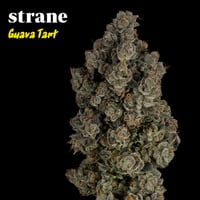Guava Tart