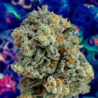 Mimosa⭐︎ 1096966_Mimosa-Sunrise-NugwJar