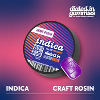 100mg - Grape Punch - Rosin Gummies (10pk)