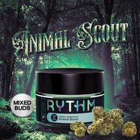 Animal Scout