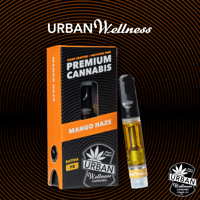 Mango Haze