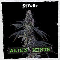 Shop Infinity Linx | Revolution Releaf (MED) Dispensary Laurel, MD