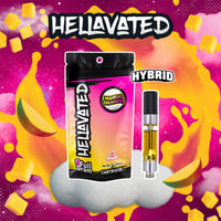 Mango Dragon Mango Dragon