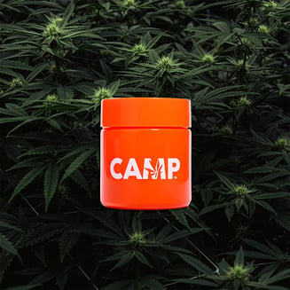 007 Up by CAMP