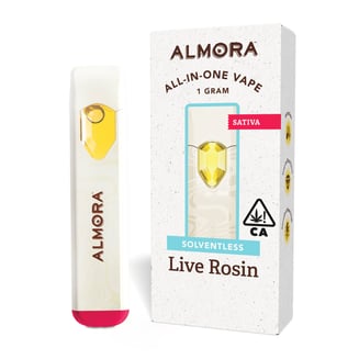 ALMORA — Dutch Treat