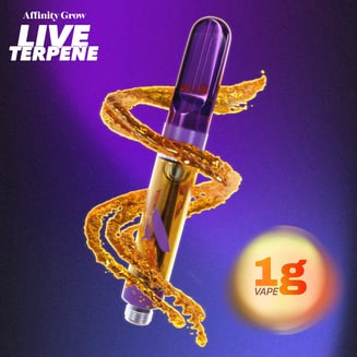Zelato BX 1g LT Vape T852 I 00822 by Affinity Grow
