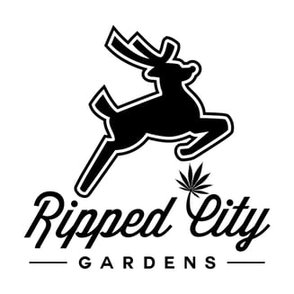 Blackberry Ice Cream by Ripped City Gardens