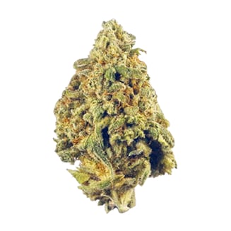 9lb Hammer by Chronicseur Farms