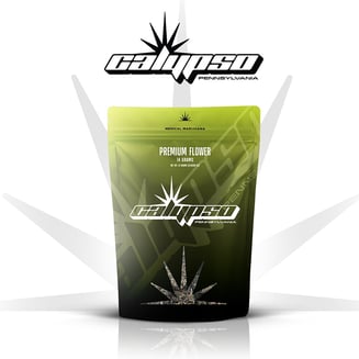 Tropicanna Haze by Calypso