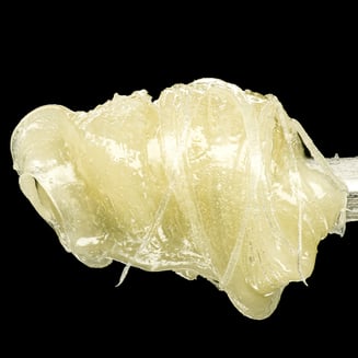 Umami Butter Fresh Press Live Rosin by Maven