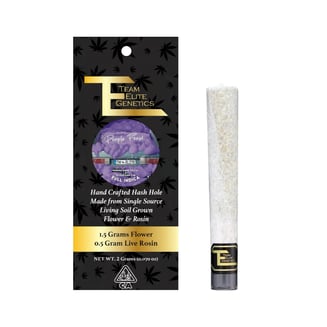 Team Elite Genetics: Purple Cheese