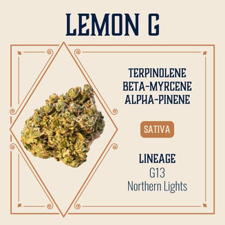 Elevate — Lemon G