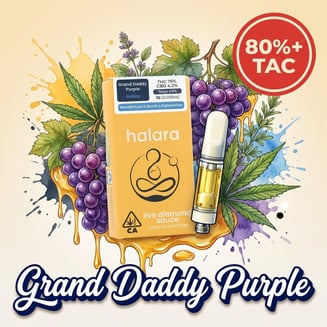 Halara — Grand Daddy Purple