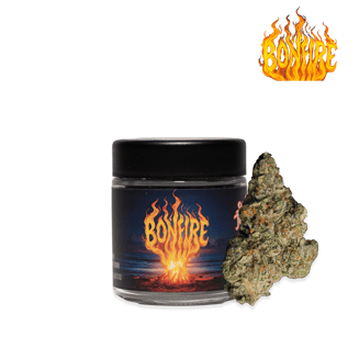 Seed Junky Genetics — Bonfire