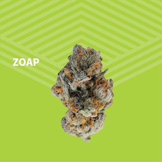 Value Zoap by Pure Dakota