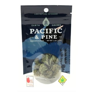 9lb Hammer by Pacific & Pine