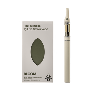 BLOOM — Pink Mimosa