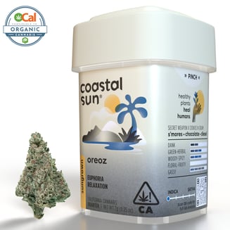 Coastal Sun — Cream Cookiez
