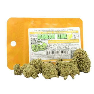 Eighth Brother — Durban Lime