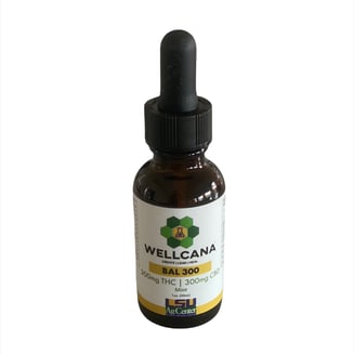 1:1 Balanced - Mint (300mg CBD/300mg THC) by Wellcana