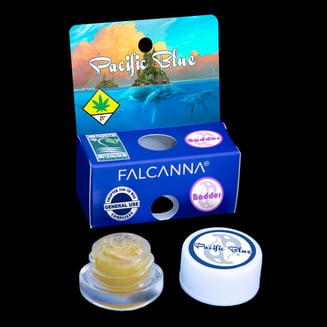 Pacific Blue Cold Cured Badder by Falcanna