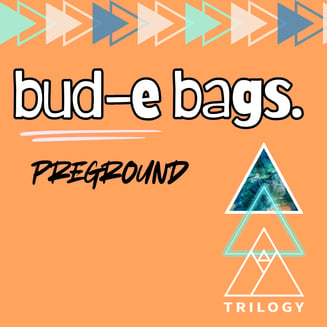 Apple Fritter | bud-e bag by Trilogy x Sunmed