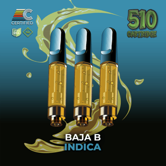 Baja B [1g] by CERTIFIED