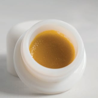 Apple Burger by FarmaceuticalRx Ohio