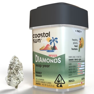 Coastal Sun — Leap Year