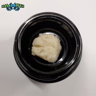Animal Gas x Chem De La Wilson by Mammoth