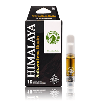 Himalaya: Gasnana