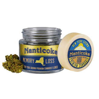 Memory Loss by Nanticoke