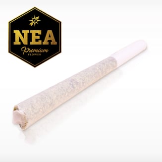 '15 GSC [1g] by Northeast Alternatives