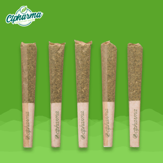 Super Rz Shorties H 27390 by CTPharma