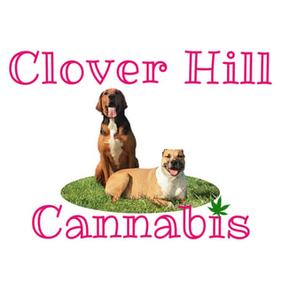 DT x C99 by Clover Hill Cannabis