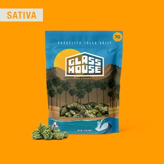 Glass House Farms: Trop Queen