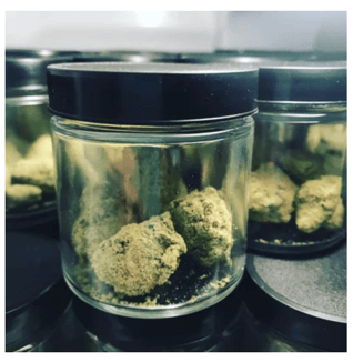 1 Hashtroid by Queen B Labs