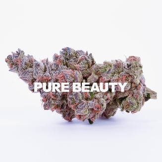 Pure Beauty — Apples & Bananas
