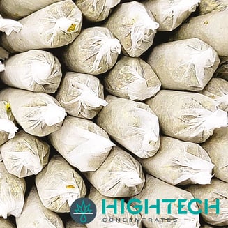 Apple Fritter [1.25g] by High Tech