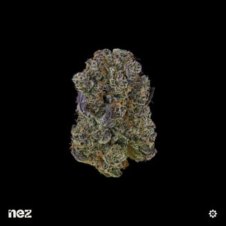 NEZ — Blueberry