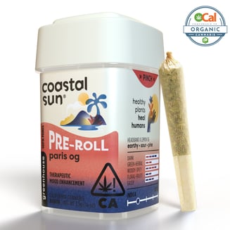 Coastal Sun: Paris OG