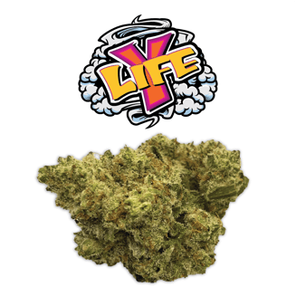 Y-Life by Rio Vista Farms