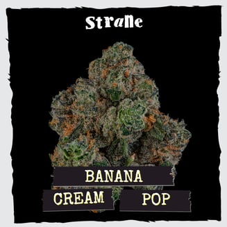 Strane — Banana Cream Pop